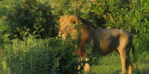 culture-and-wildlife-namibia,-okavango-delta,-chobe-und-victoria-falls
