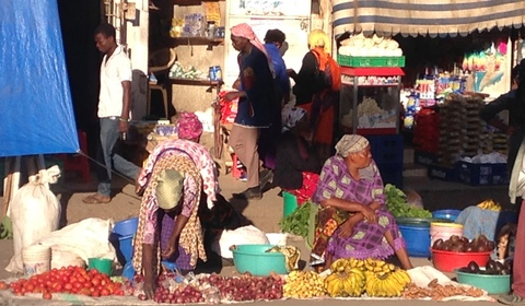 culture-and-wildlife